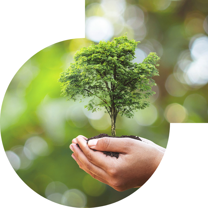 �P��������Ļ����h���c���